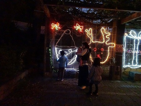 DSC00774.jpg