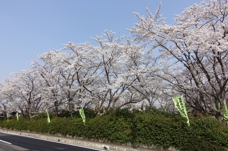 DSC01486.jpg